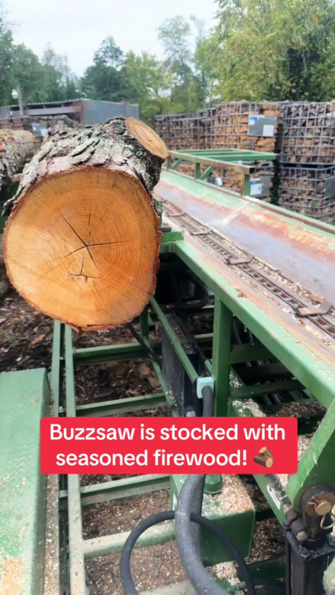 @Buzzsawtrees