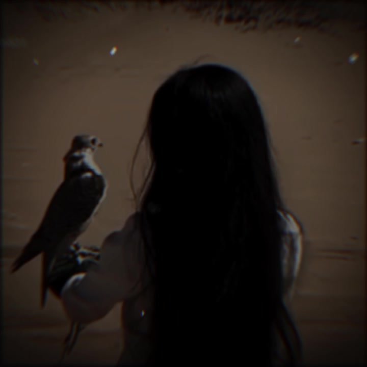 @˼♯̶⃪⃪غزولــة🤎 