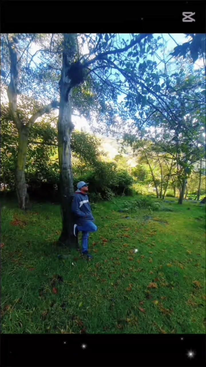 @🦋