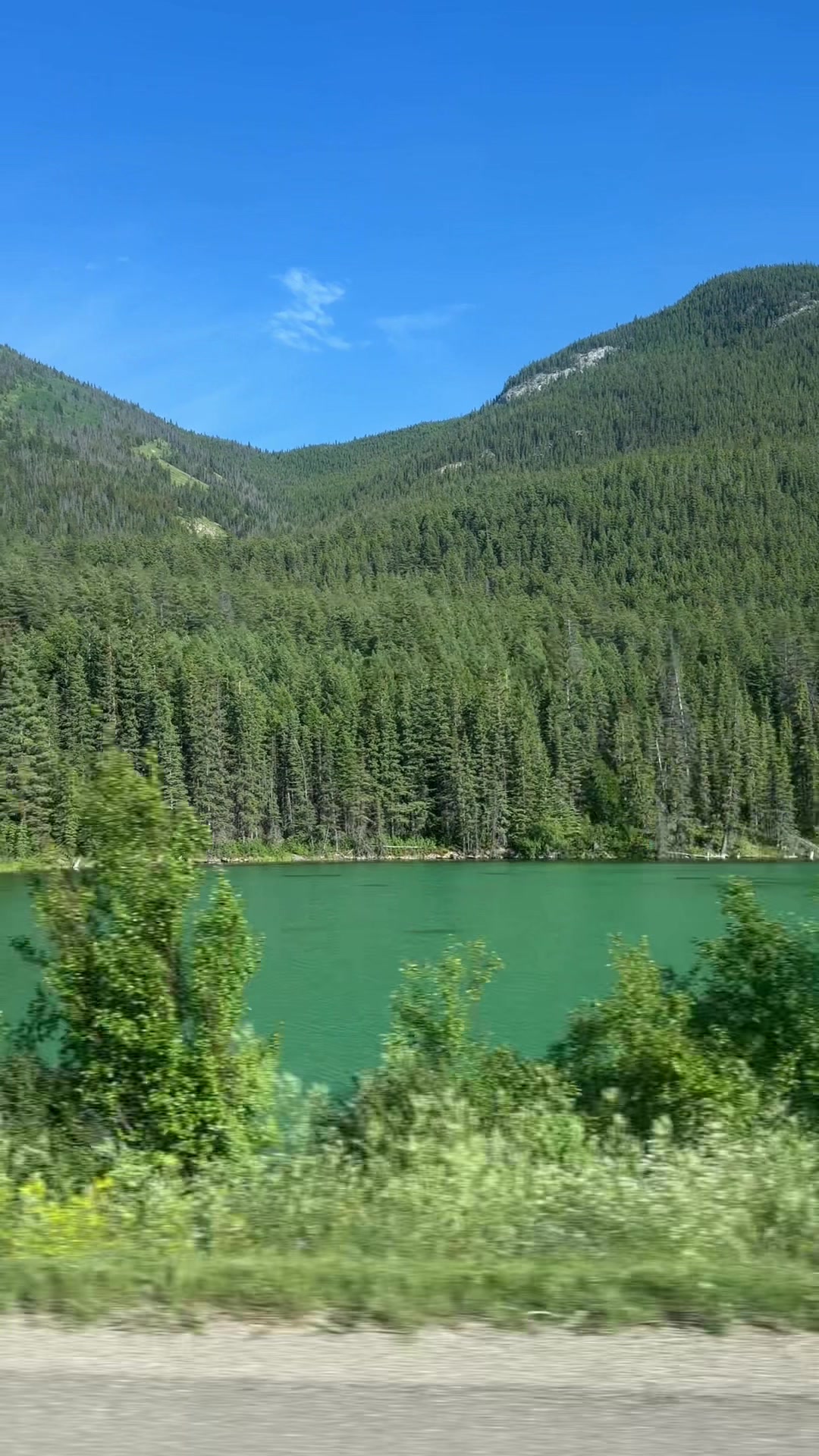 @solomon🇨🇦
