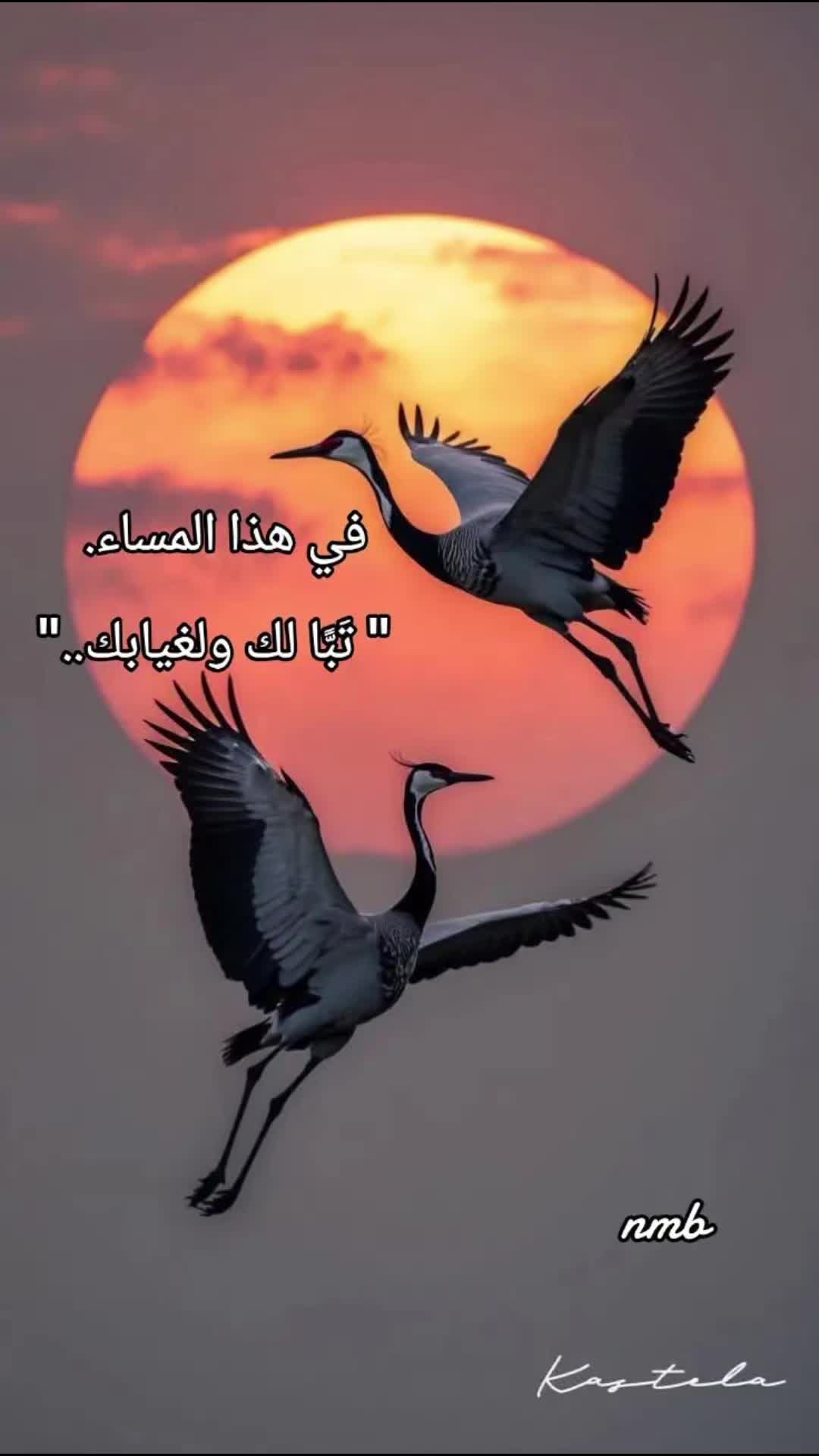 @🌬شِبيهة الريح@