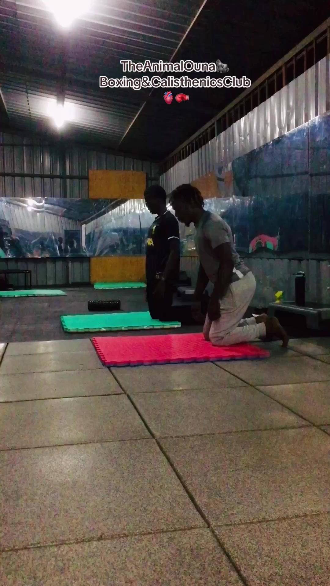 @TheAnimalOuna🦍&hellip;