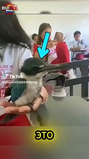 @R&Ouml;VŞƏN