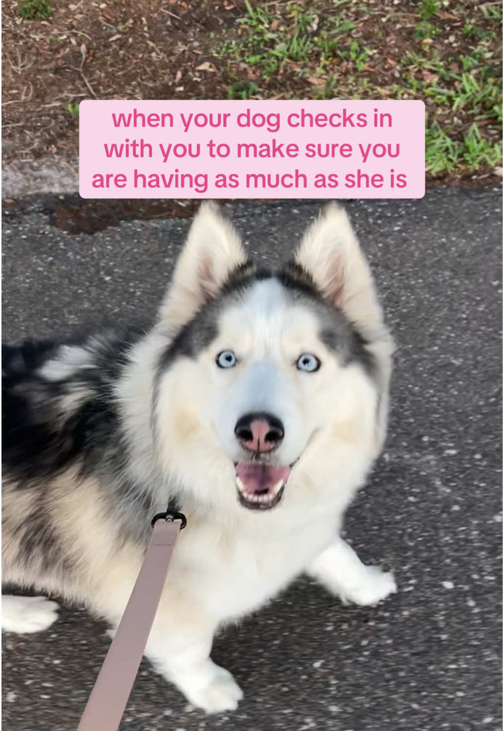 @Winnie & Wookie🐾
