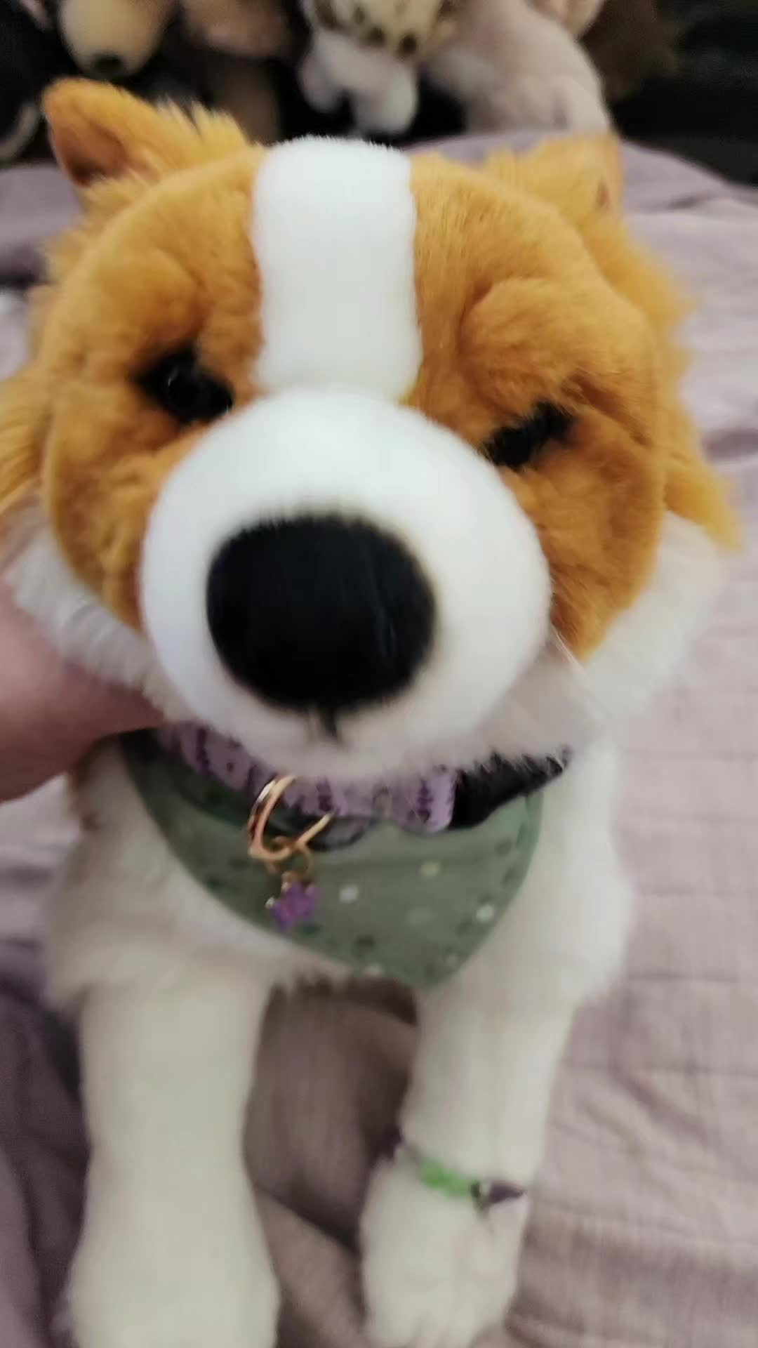 @๐ป Autistix Shiba ๐ณ๏ธ๐