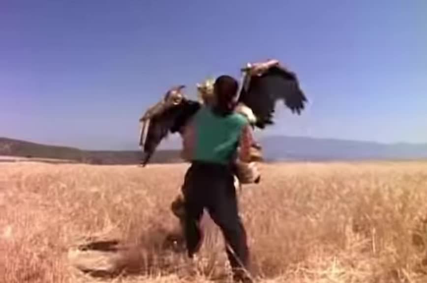@90’s Nostalgia Ranger Fan