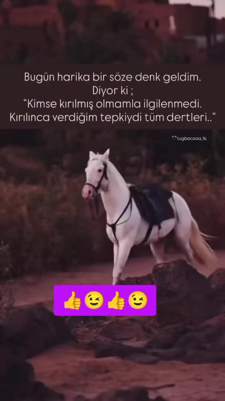 @58_Sevil