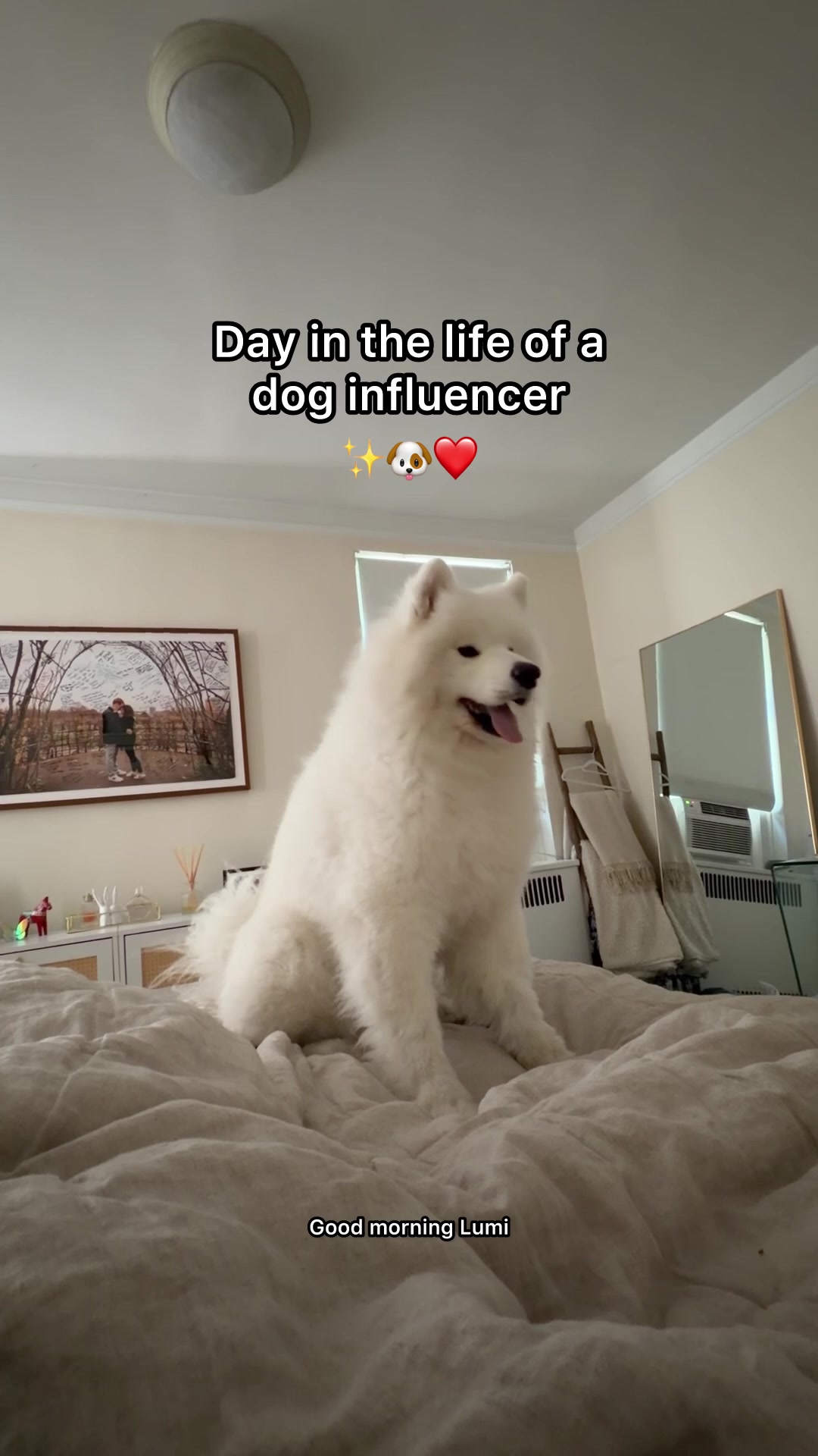 @littlebearlumi
