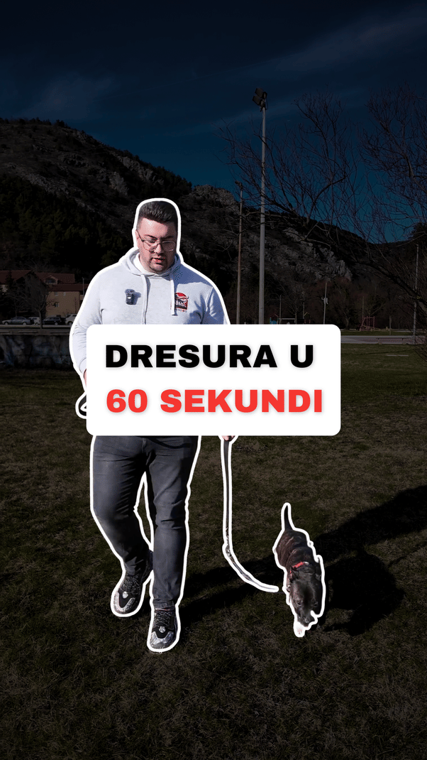 @superdog.akademija