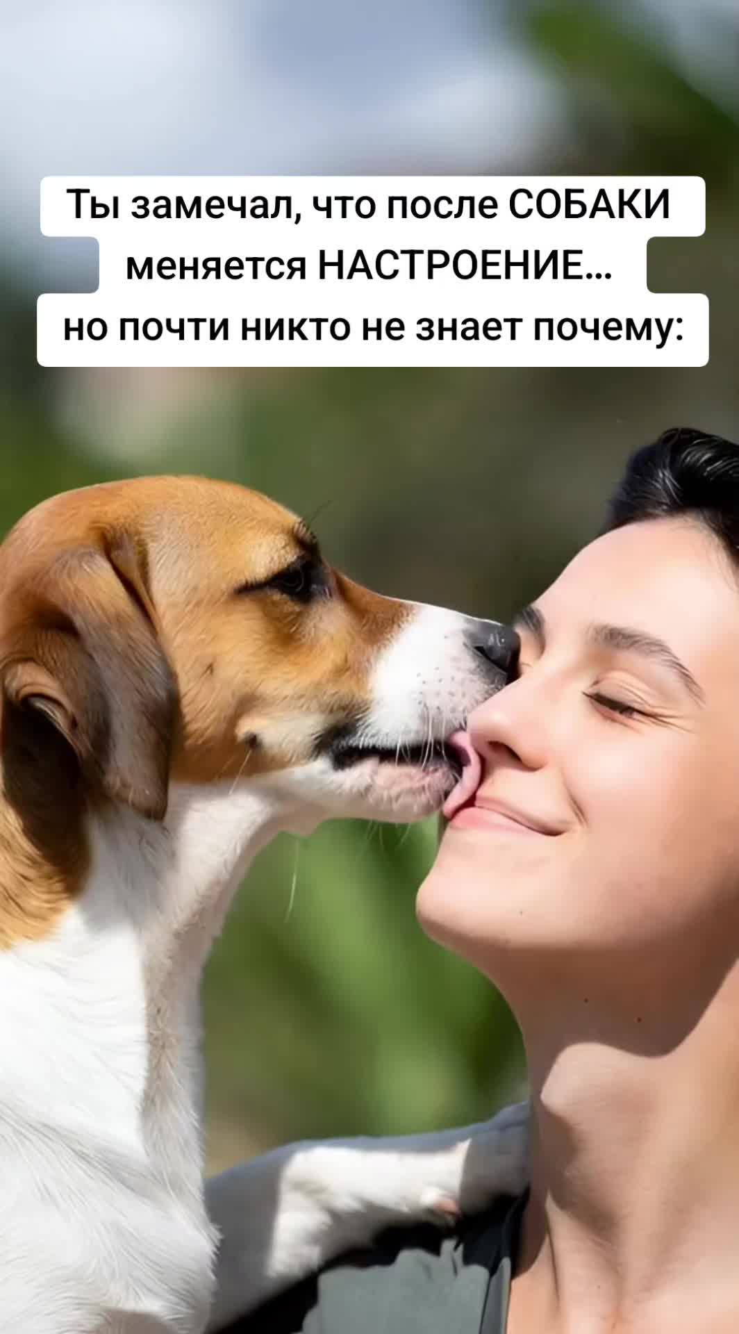 @Алёна Веста