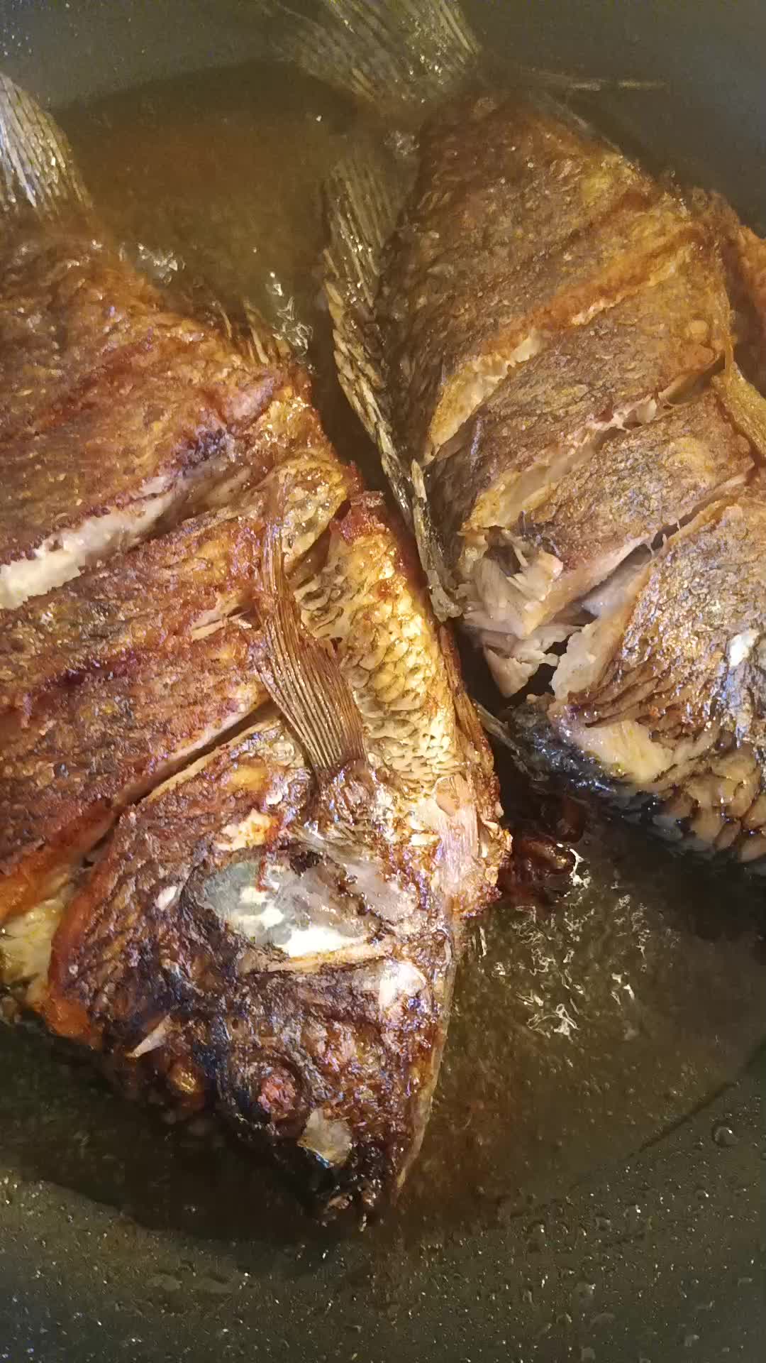 @🦁EL KURIA 🇲🇽 🦁SUKIS 69 🦁