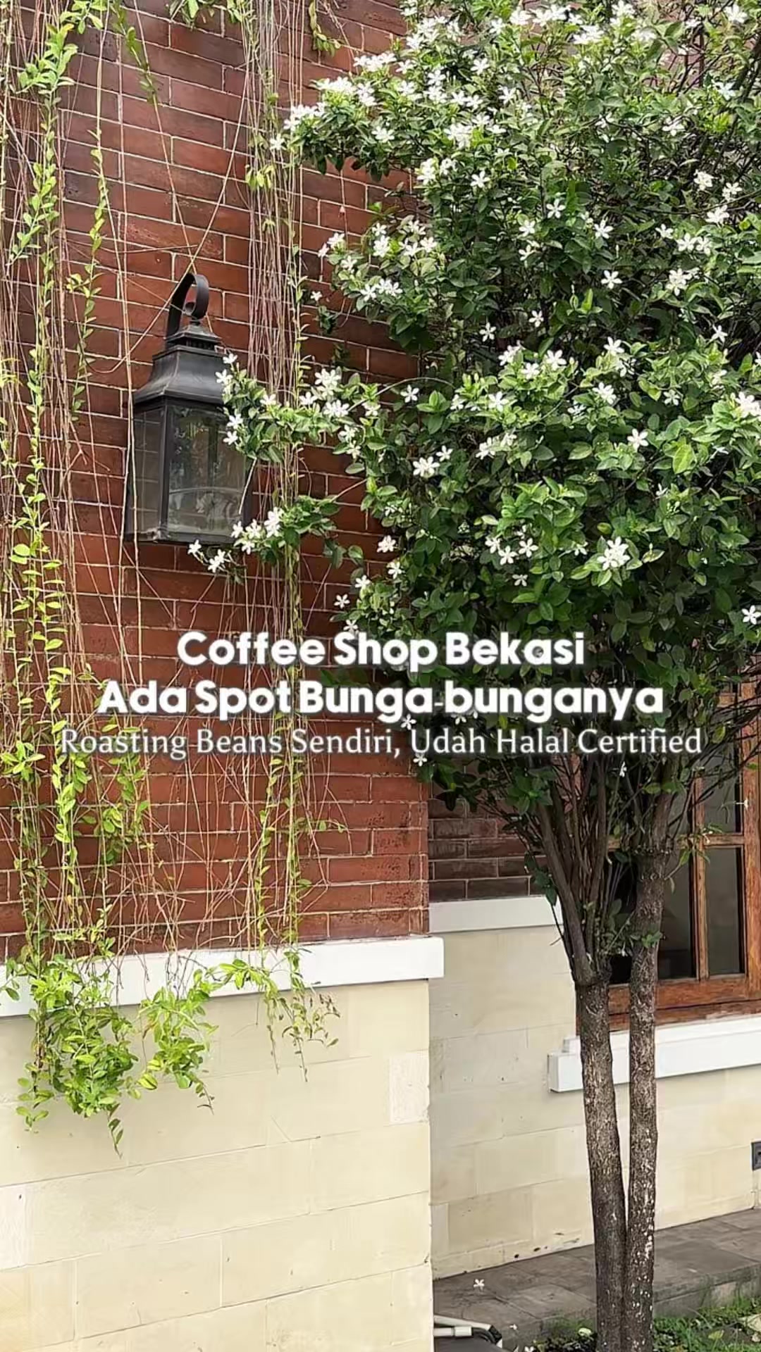 @Wynne | Review Kopi & Makanan