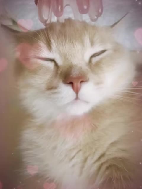 @VyyPilgrim72