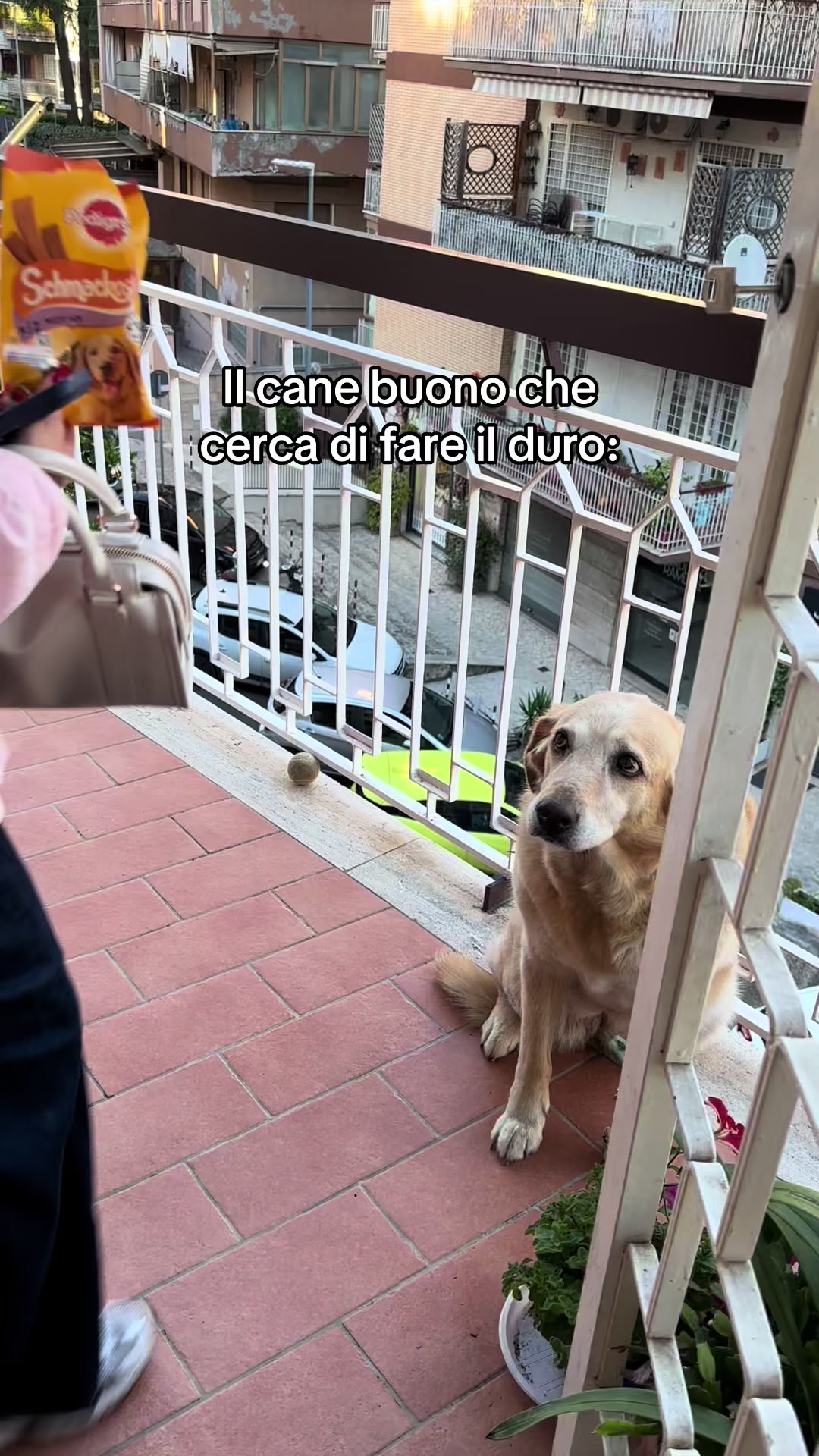 @Ludovica