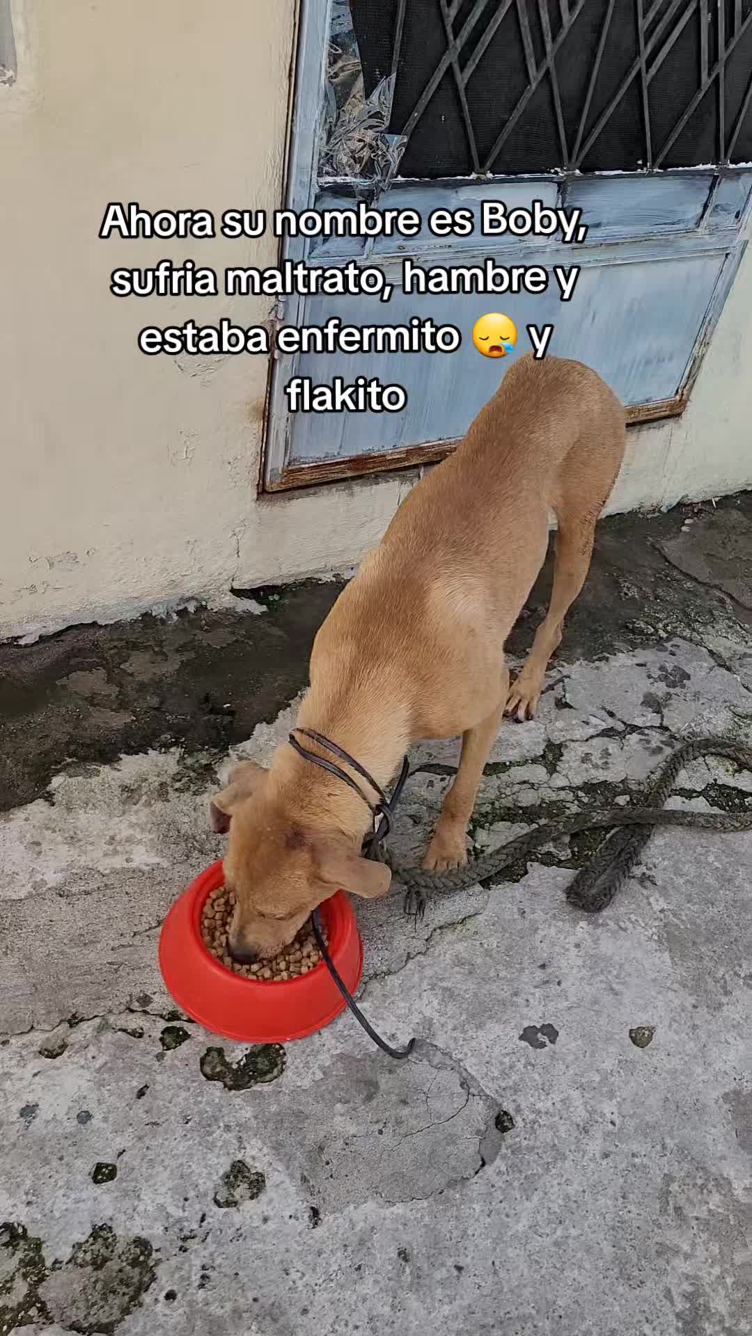 @𝕃𝕚𝕤𝕤 ℝ𝕖yes🇸🇻