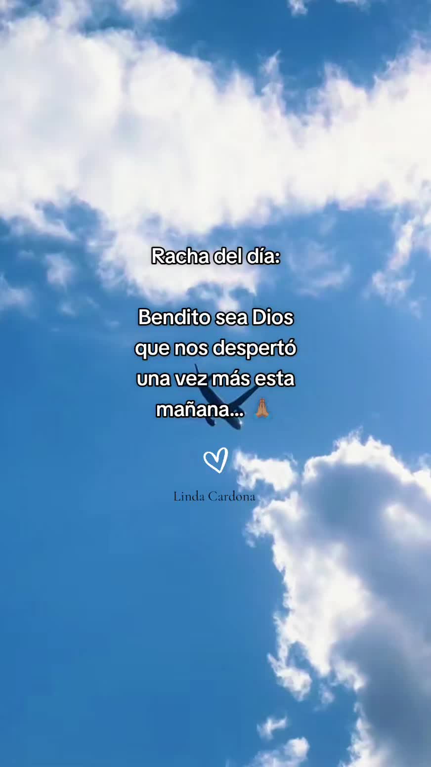 @Linda Cardona 🪼🪐
