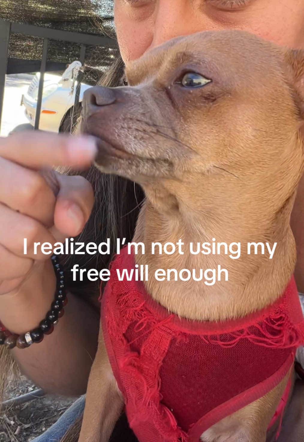 @vanessita