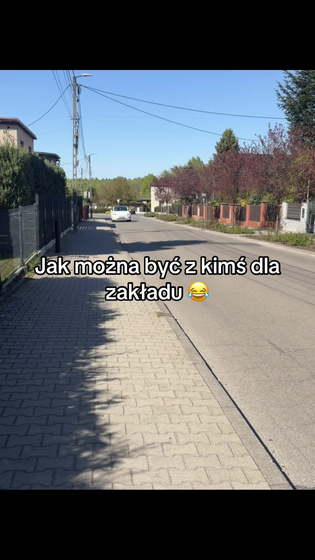 @🎧🦜