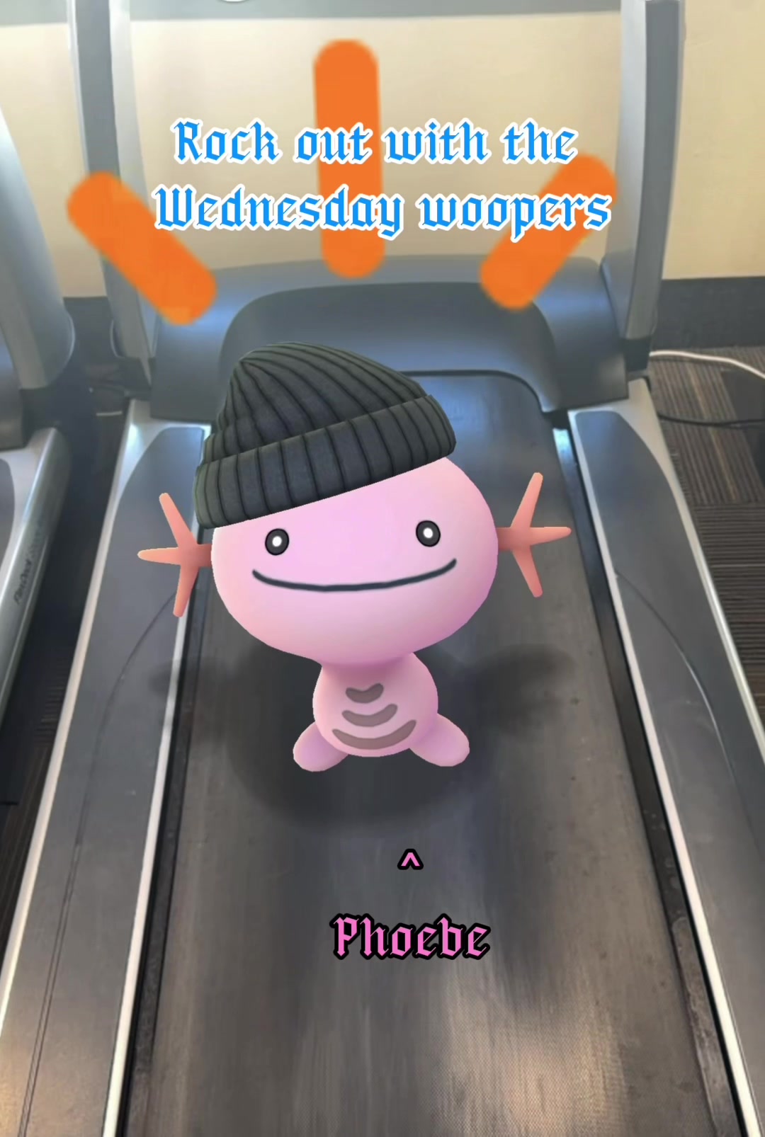 @The Wednesday Wooper