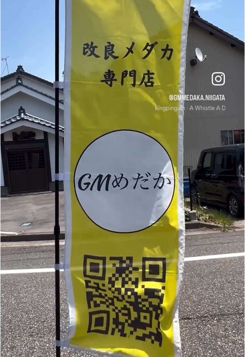 @gmmedaka.niigata