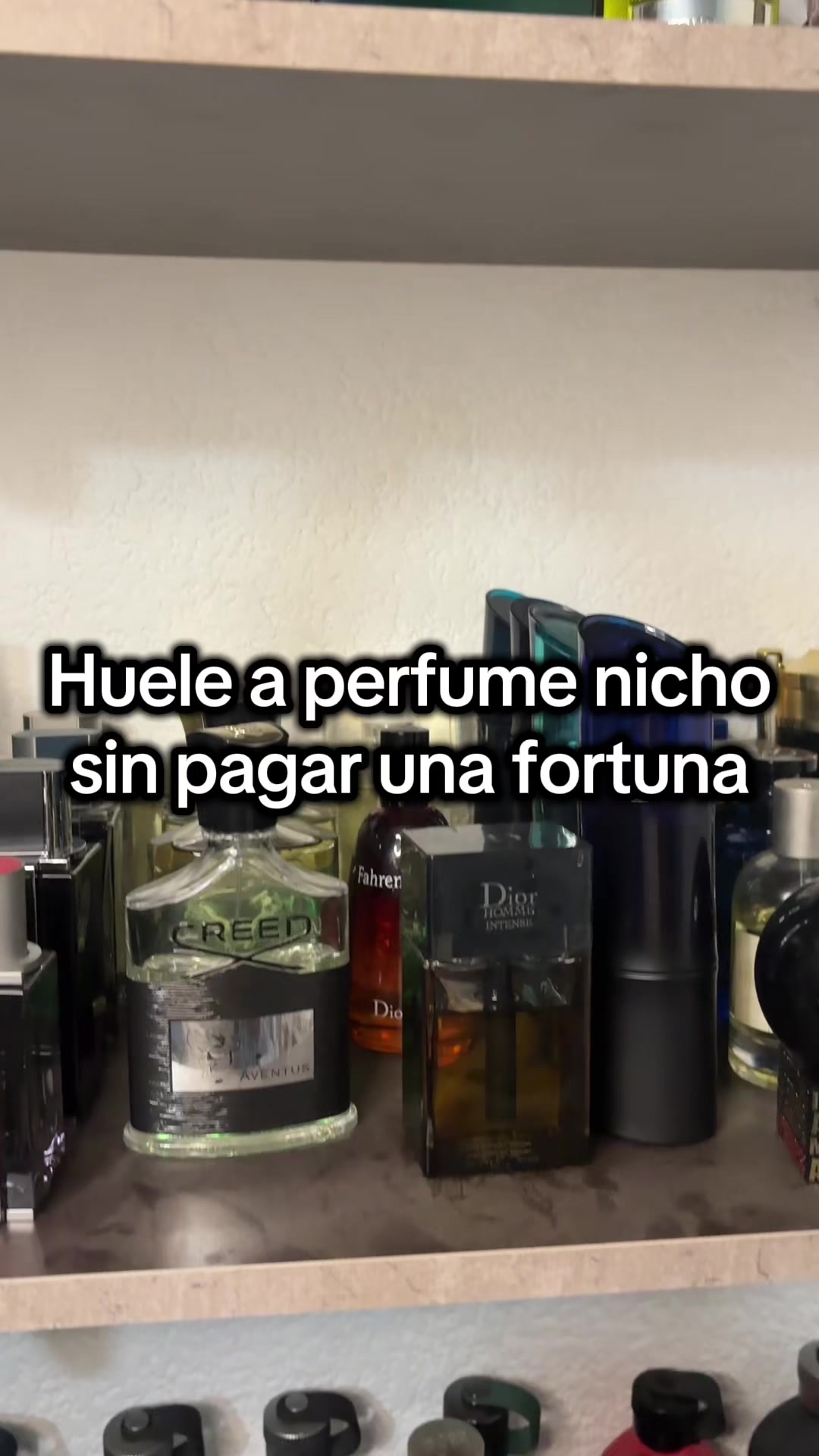 @DonParfum😎