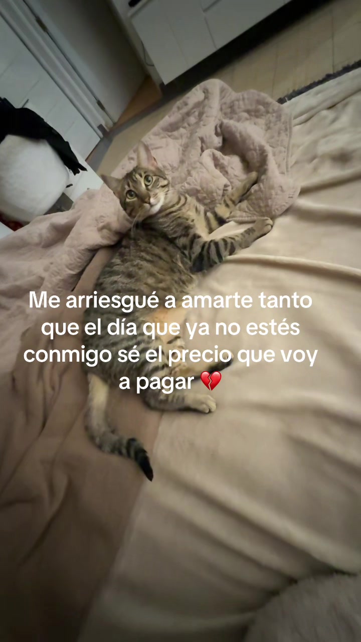 @Kathy Jimena