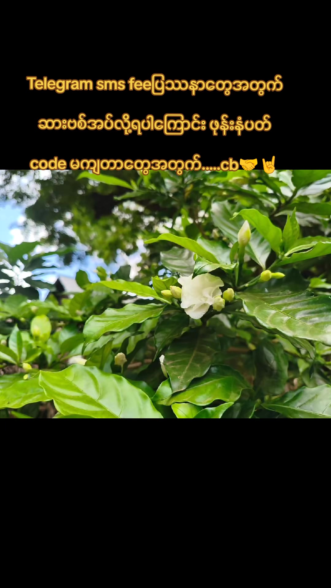 @Mayđ«