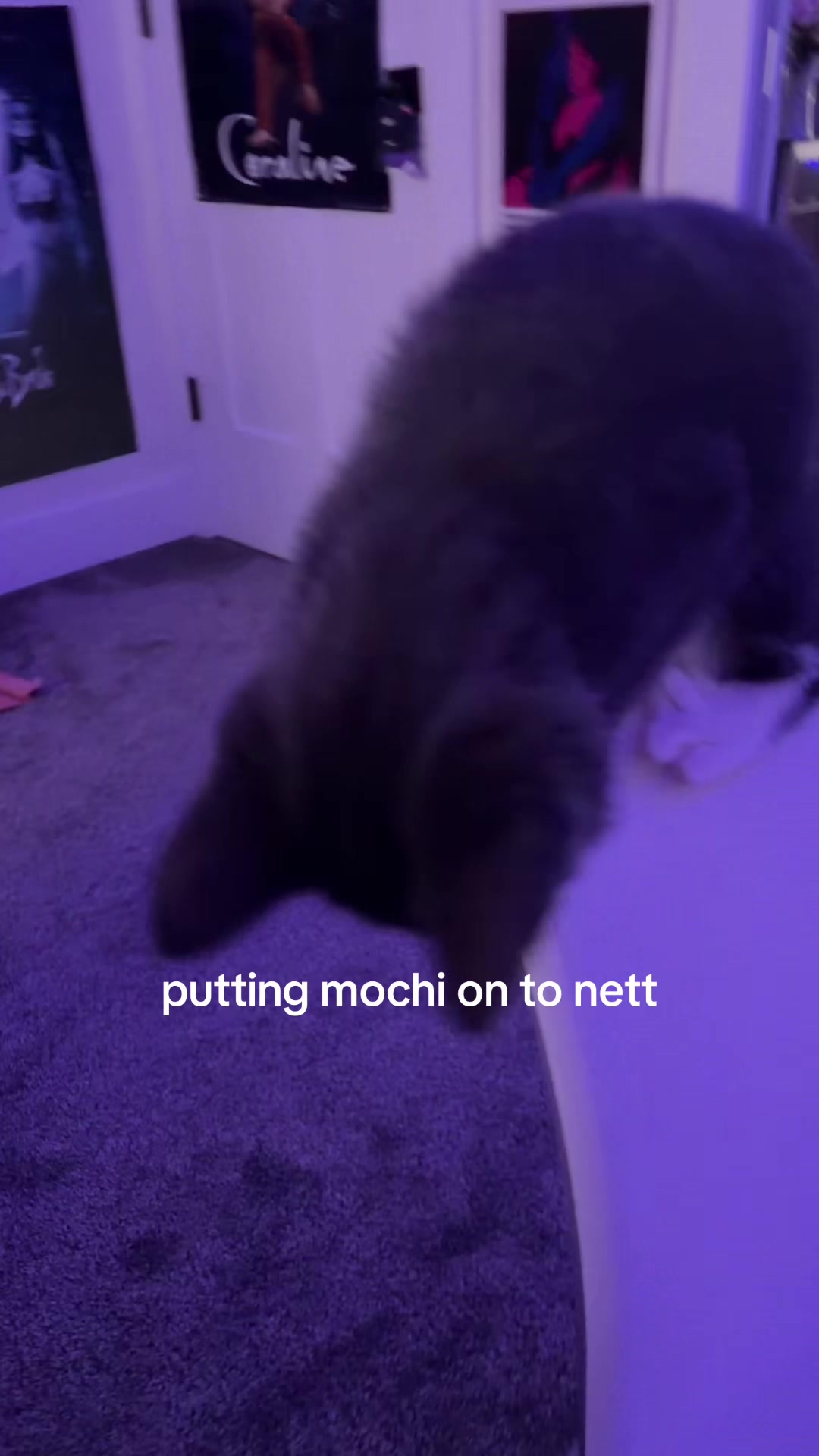 @av