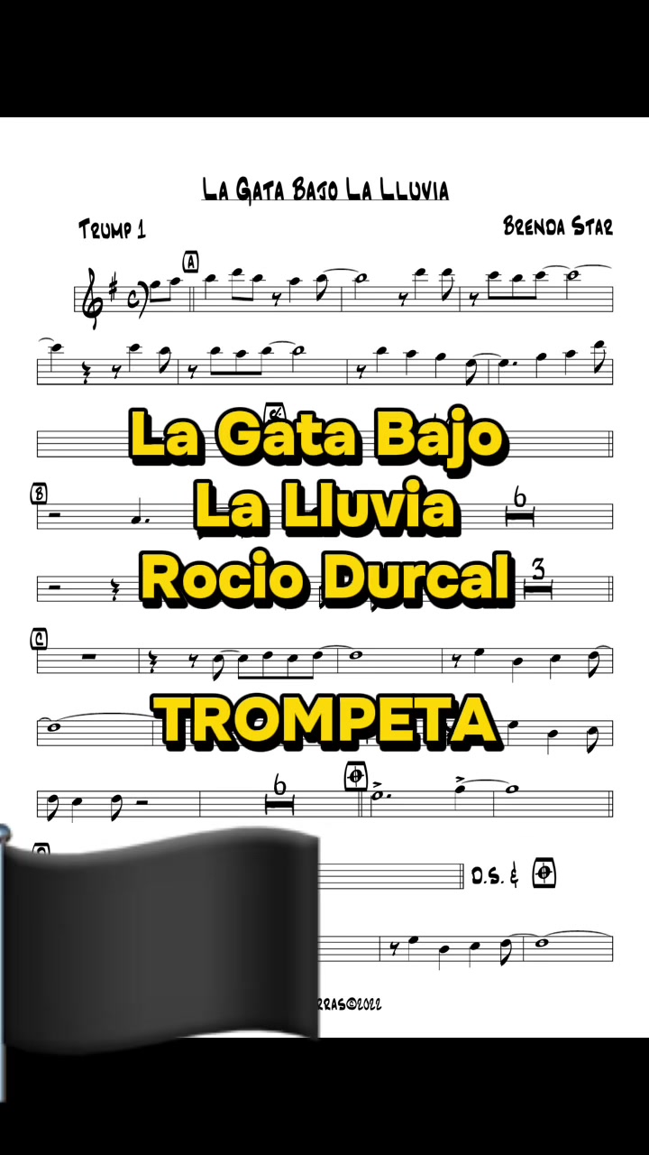 @Mundo de partituras