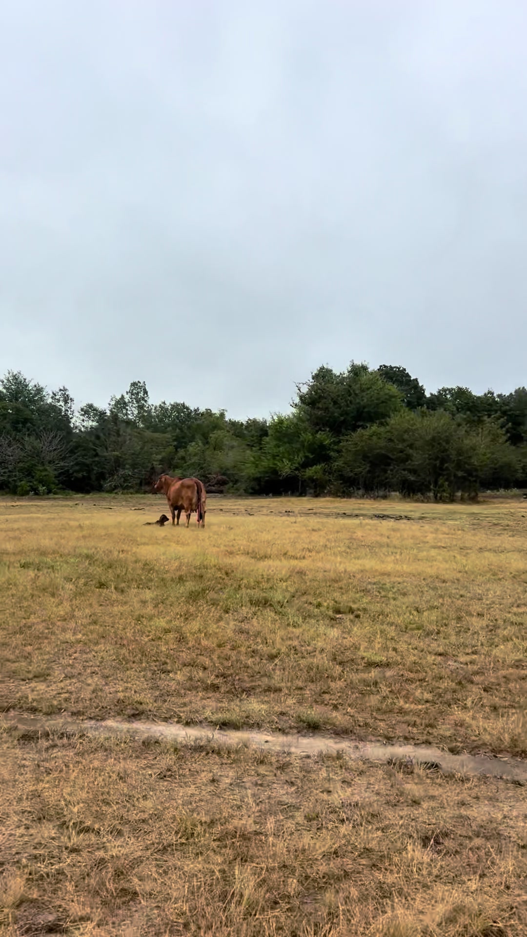 @The V6 Ranch