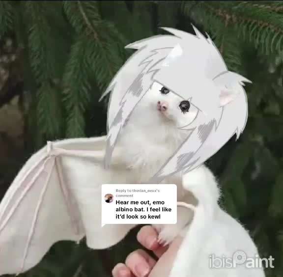@Sealie 🦭🍮