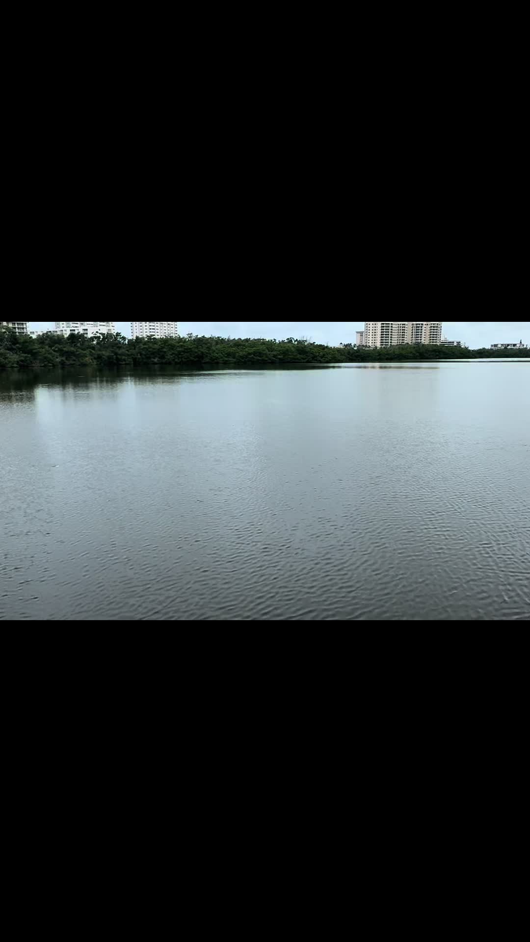 @Gotitfishing