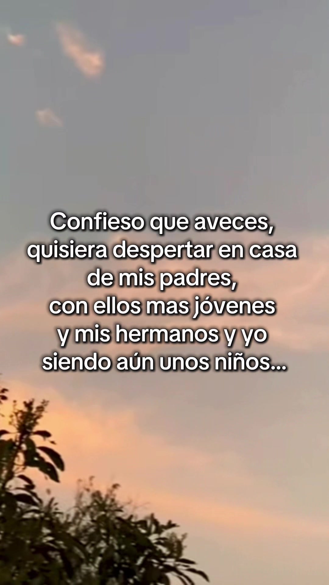 @nidia ✨