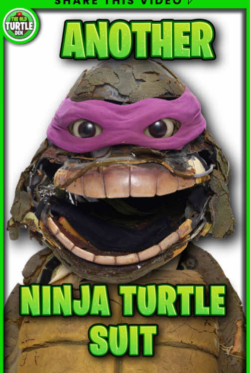 @TheOldTurtleDen
