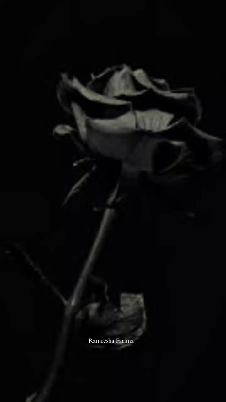 @Rameesha Fatima