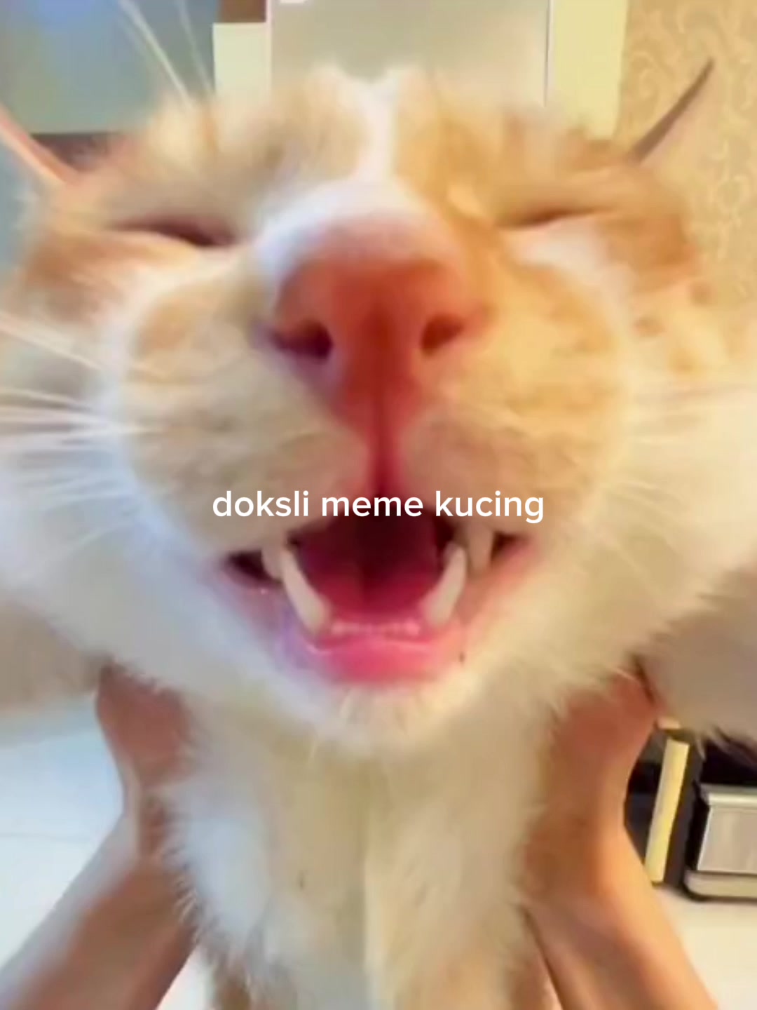 @JIMMY
