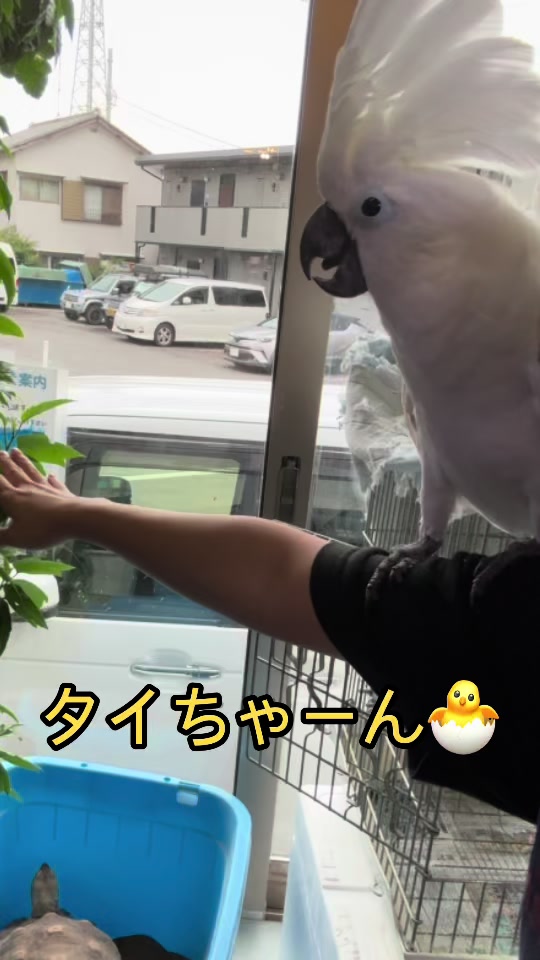 @総合ペットショップ　ノーザンみしま
