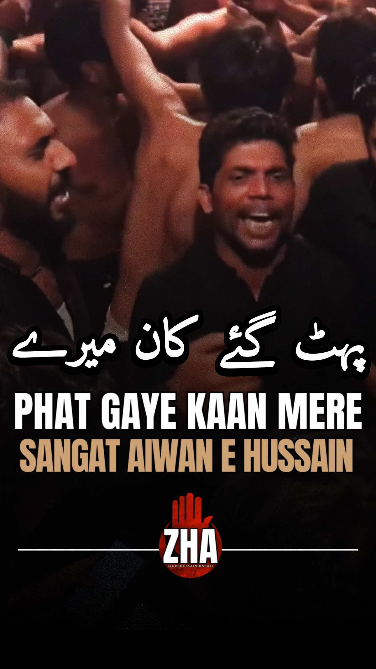 @Zikrehussainibneali
