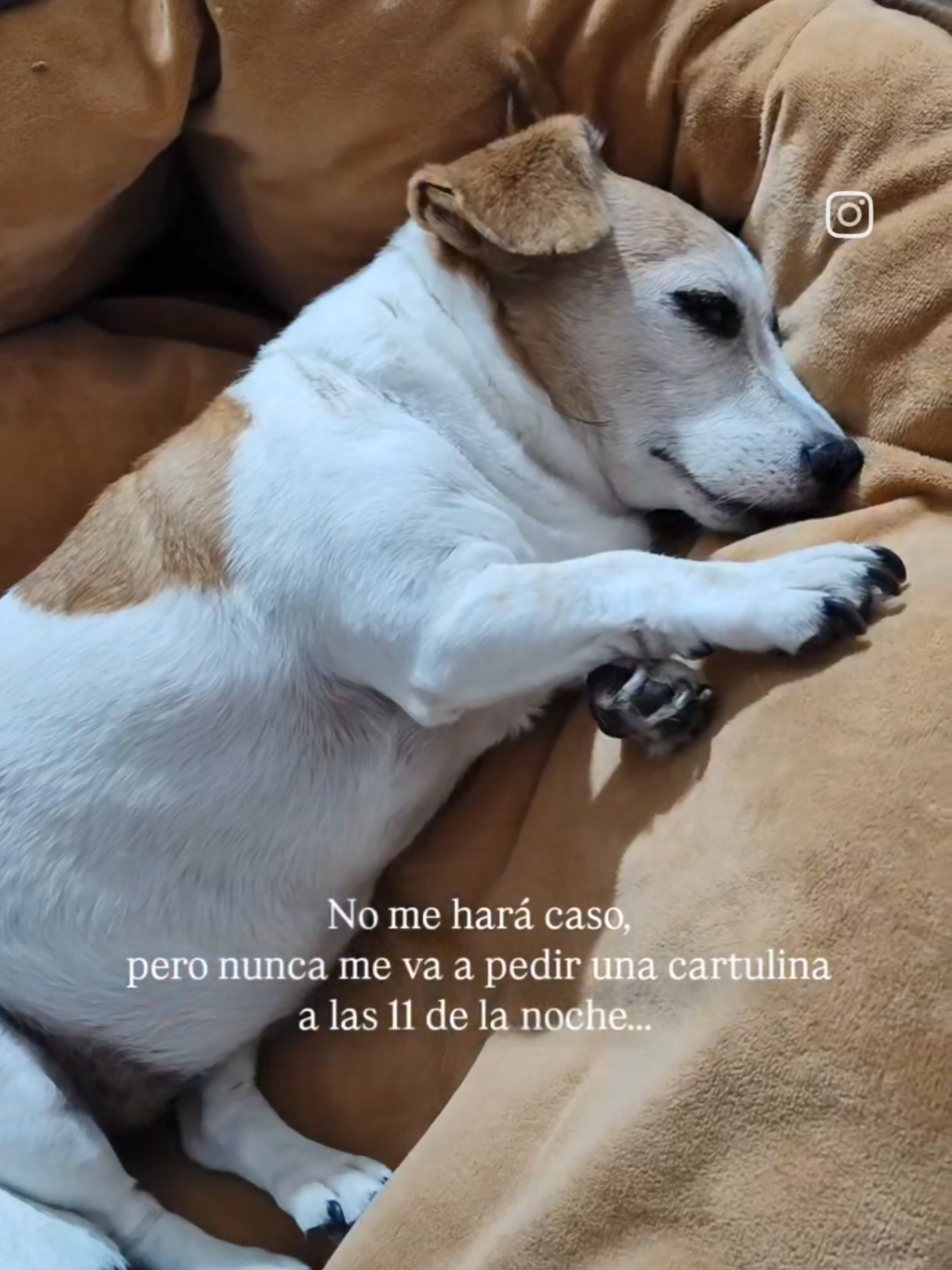 @los tips de Luci 📓