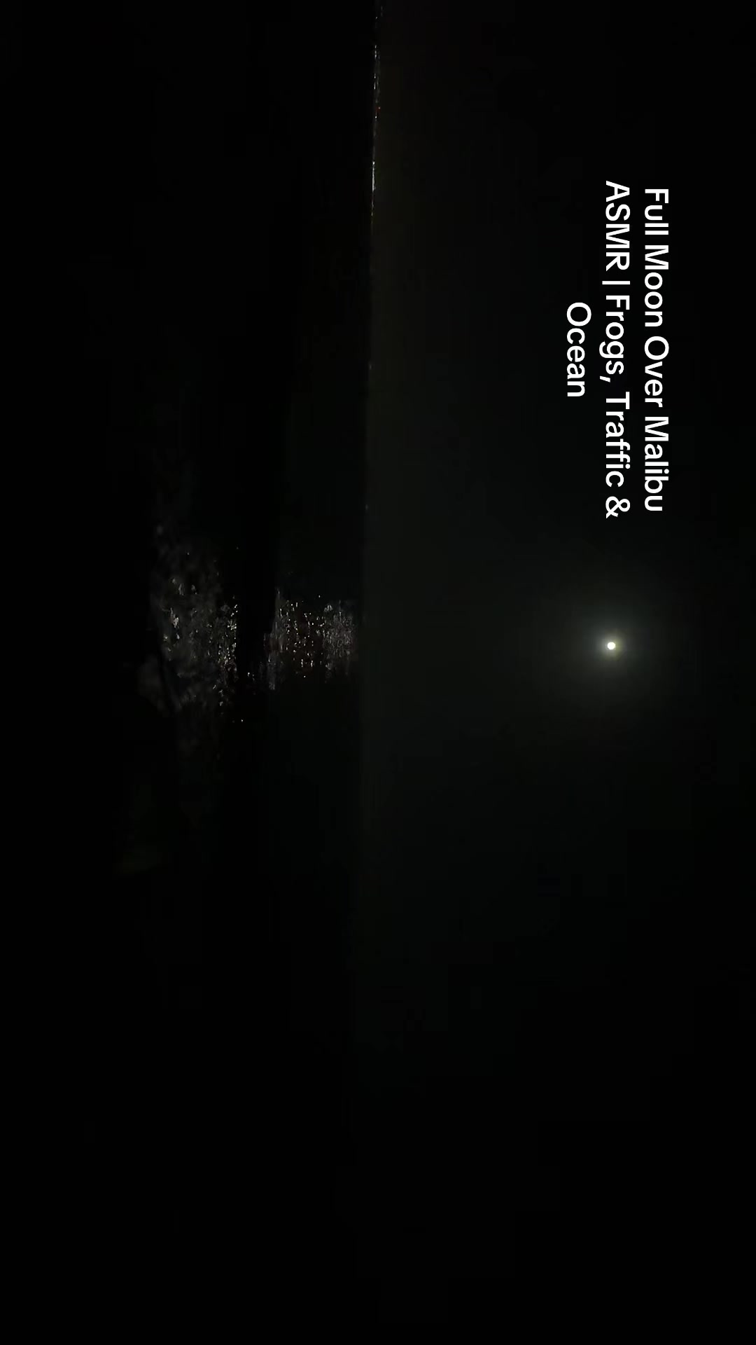 @𓁛𓂀Reesa𓂀𓁞