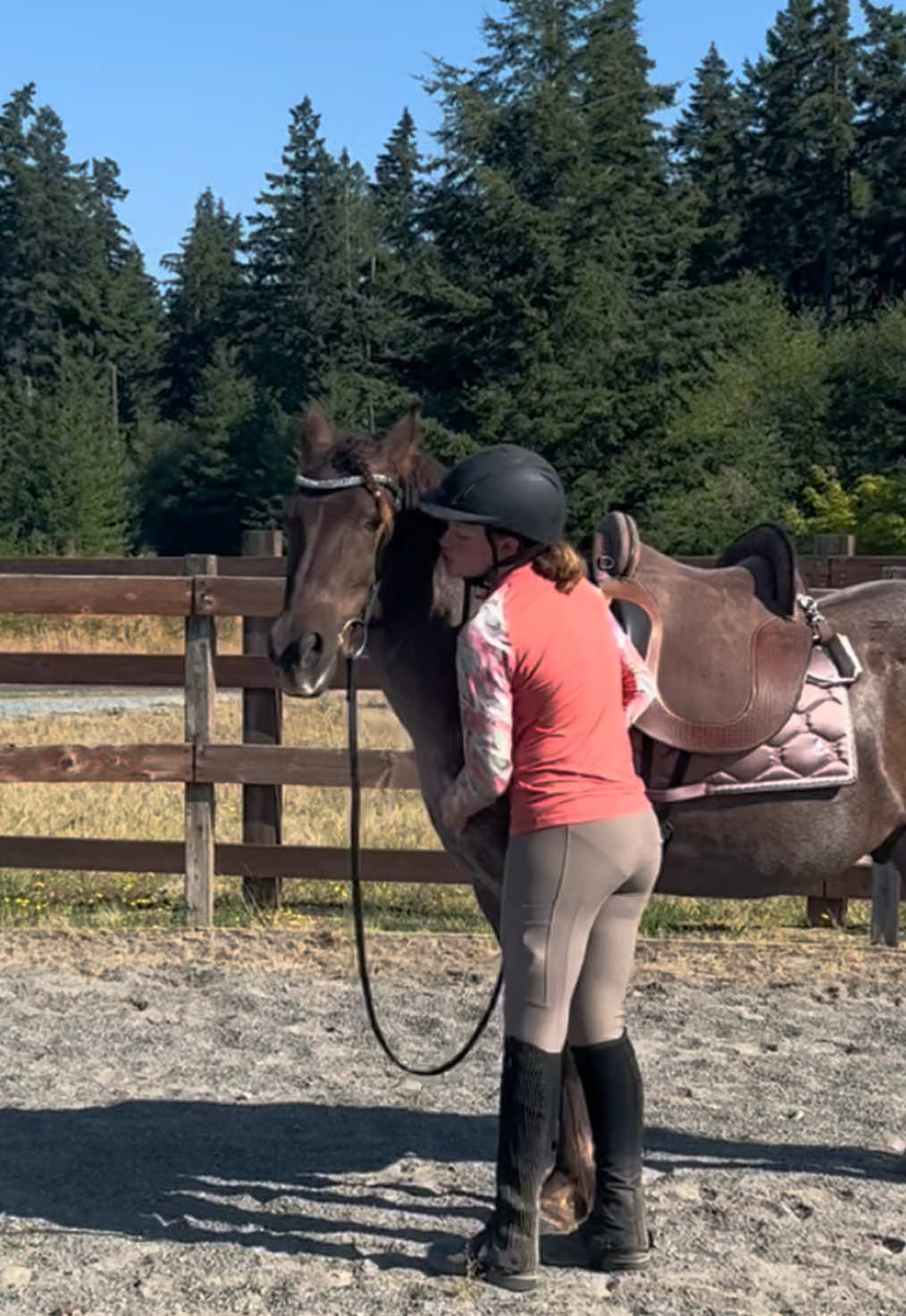 @Viv’s Ponies