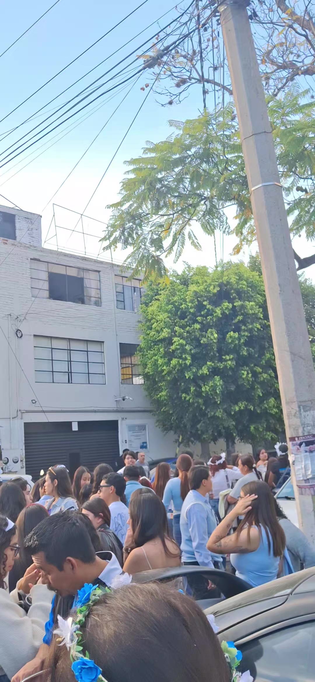 @Rosario Cervantes
