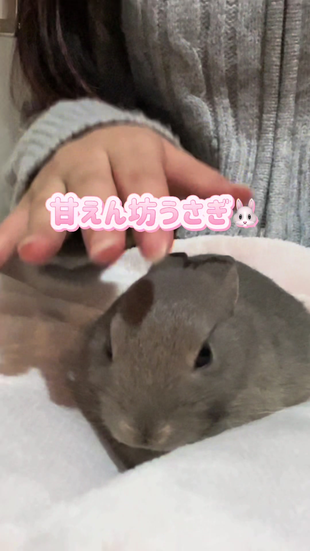 @メルナ🐰🌙2.5次元シンガー