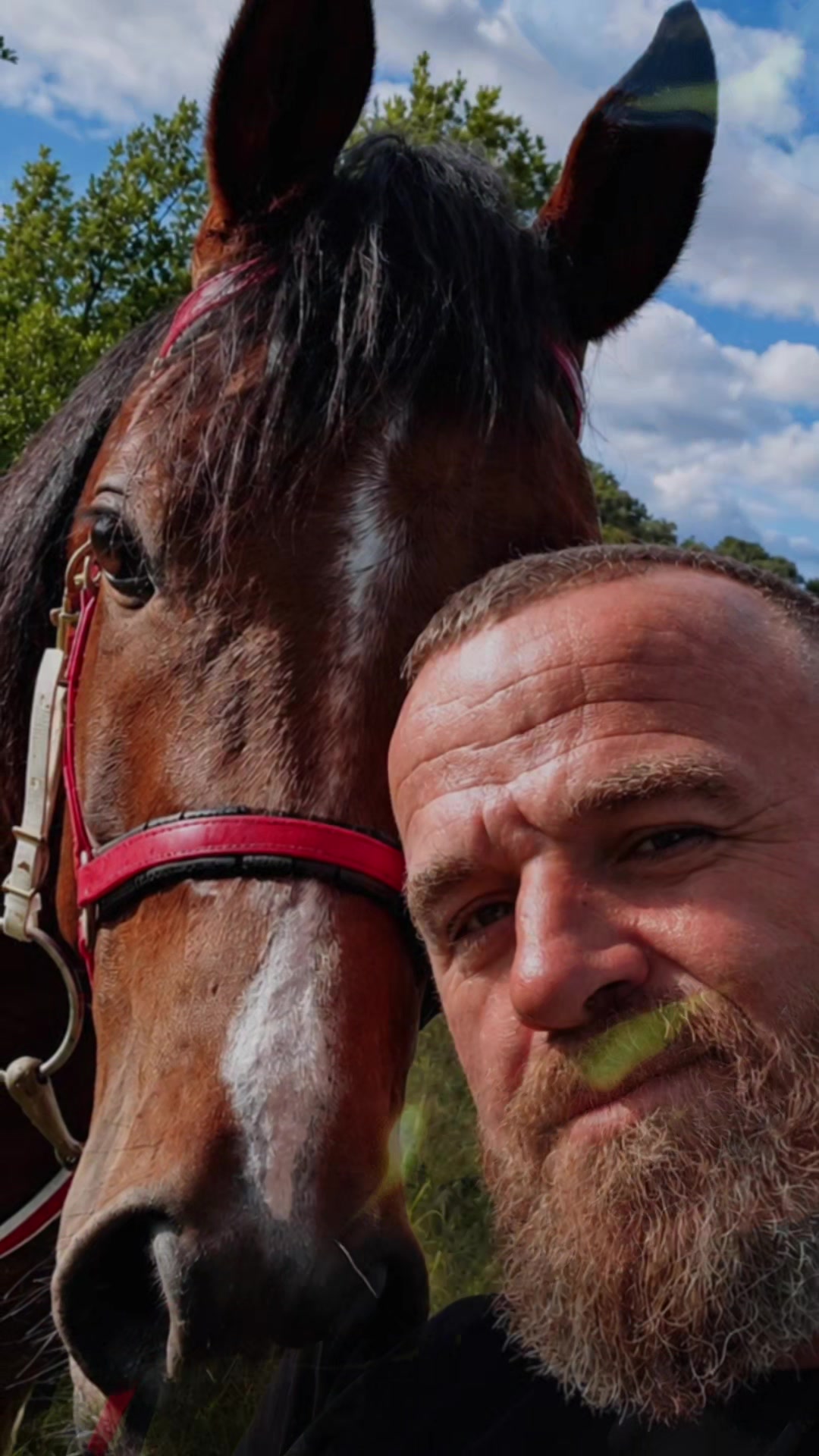 @Horse Training Center Albania
