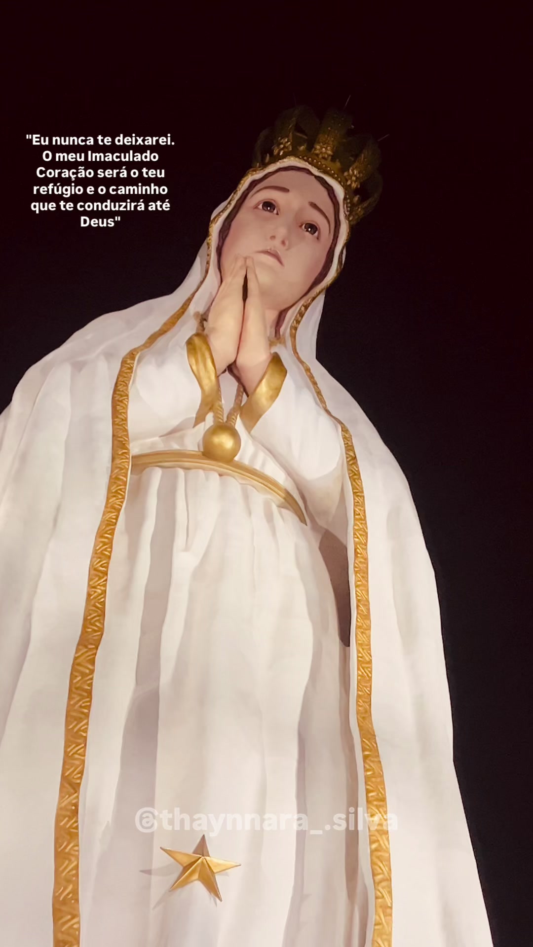 @thaynnarasilva 🇻🇦