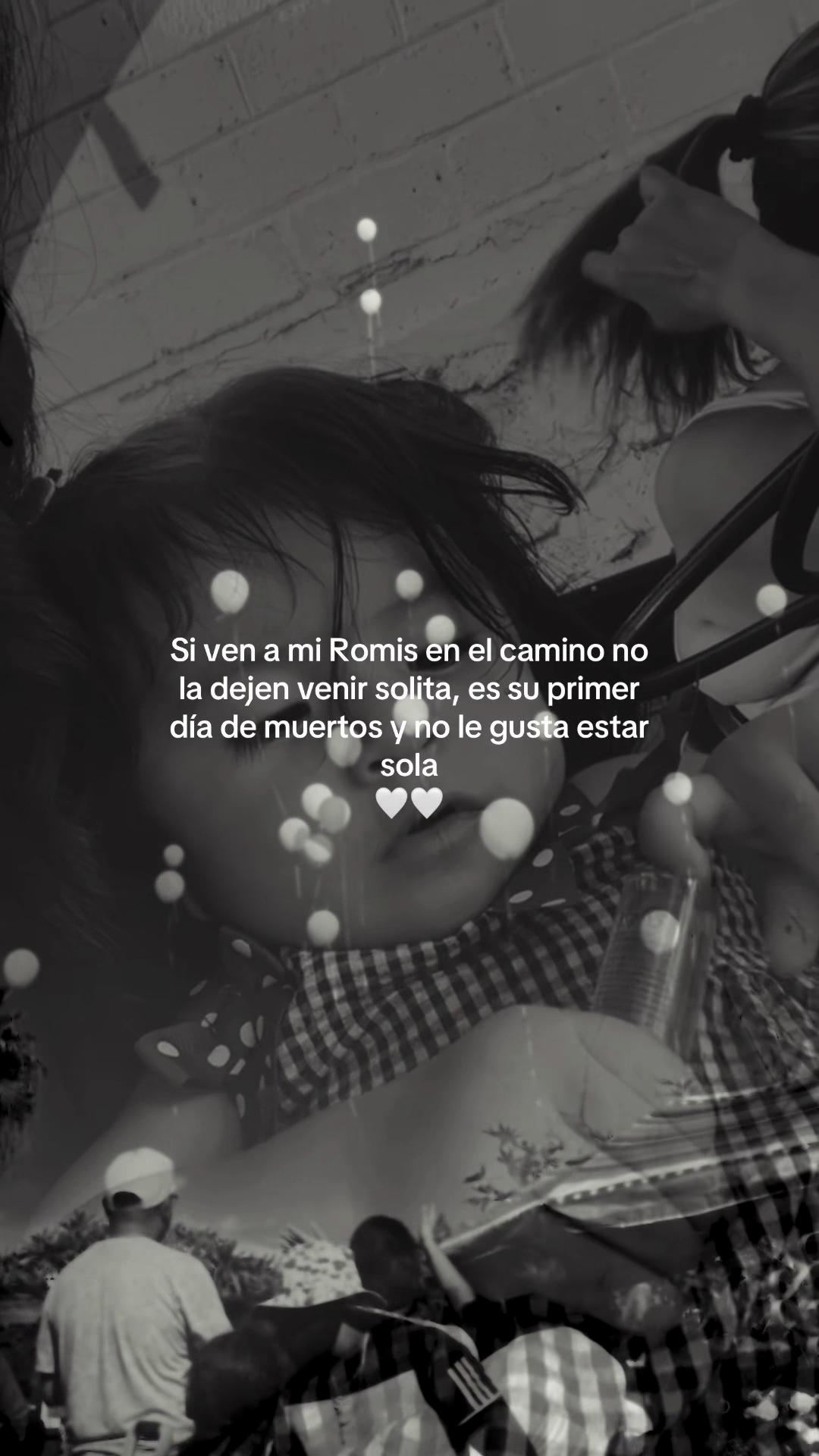 @ilches