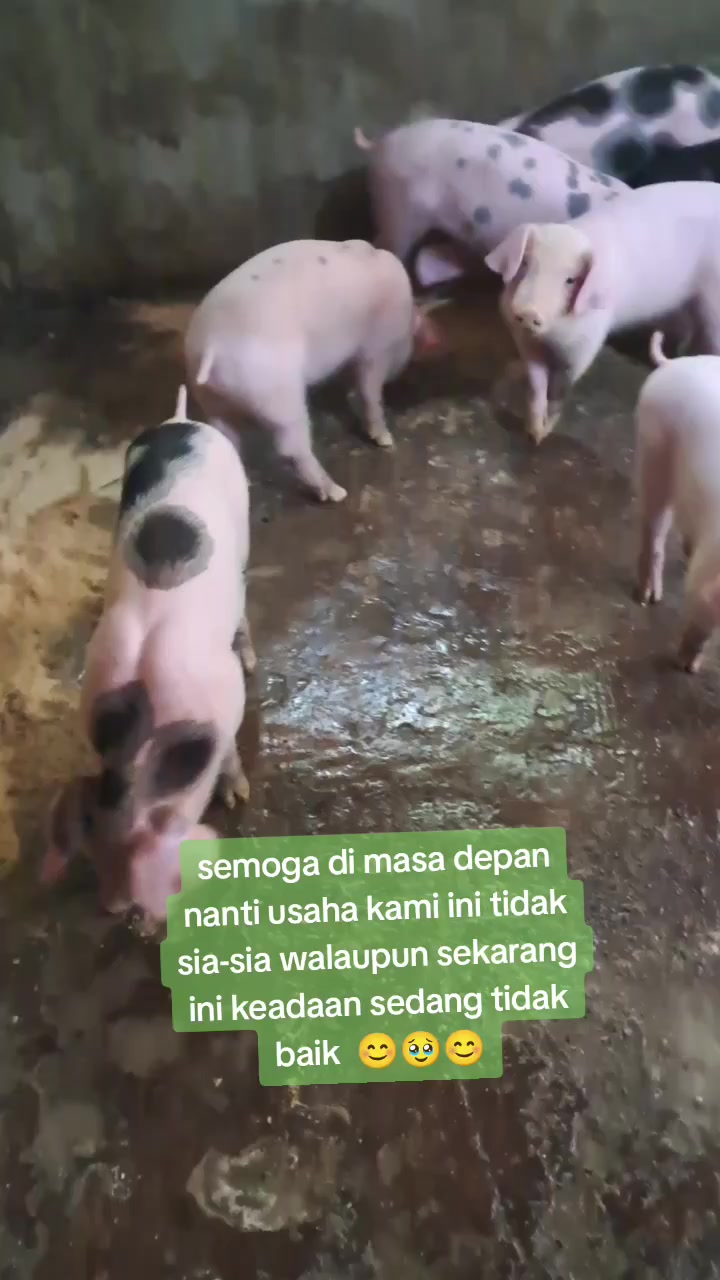 @mama Brigita