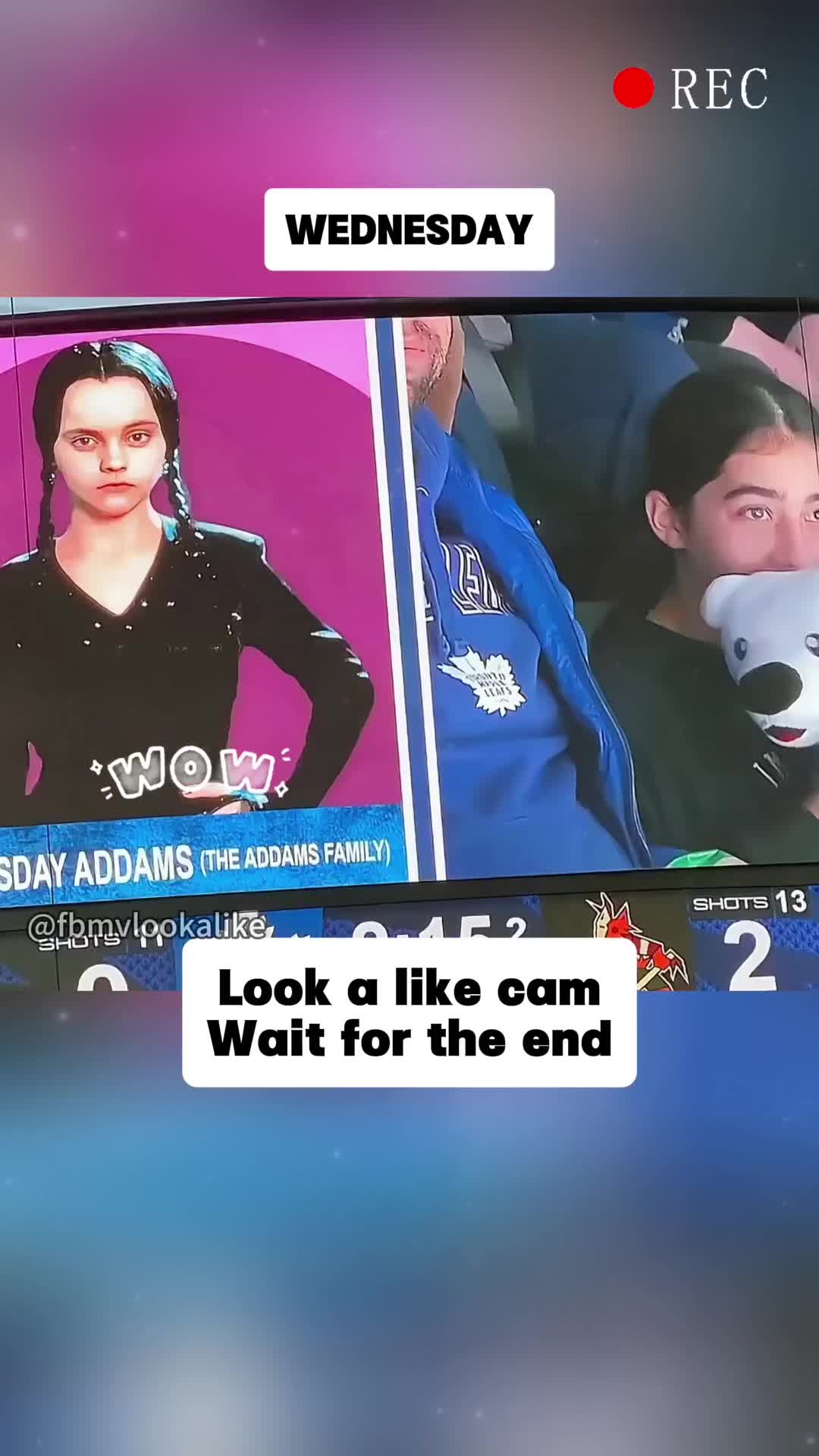 @fbmvlookalike