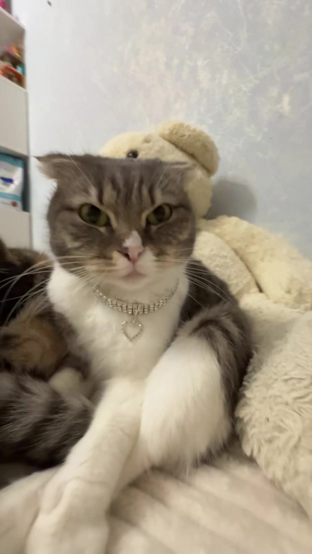 @Chloe 𝜗𝜚 Freya