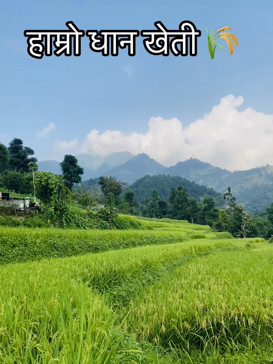 @🇳🇵kash💎